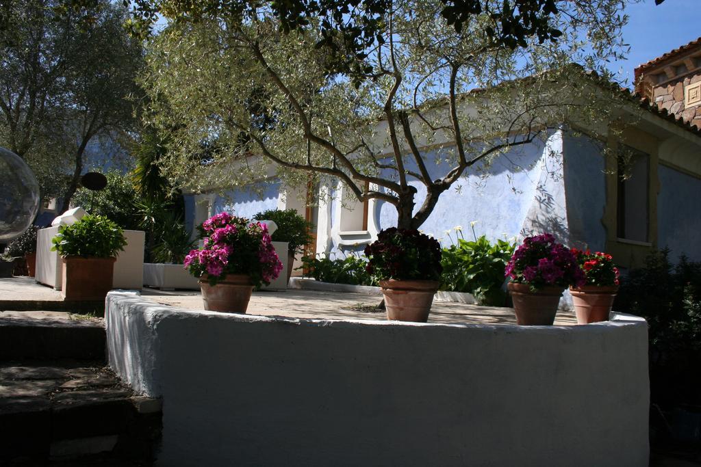 Residenza Di Campagna Seranile Dorgali Εξωτερικό φωτογραφία