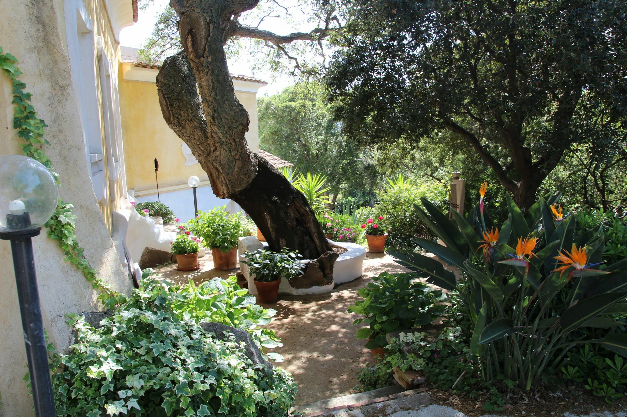 Residenza Di Campagna Seranile Dorgali Εξωτερικό φωτογραφία